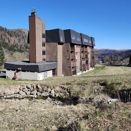 Les Digitales * Mont-Dore